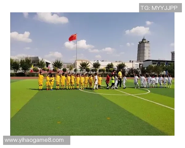 挪威足球联赛的魅力与挑战：探索北欧足球的独特风采与发展潜力